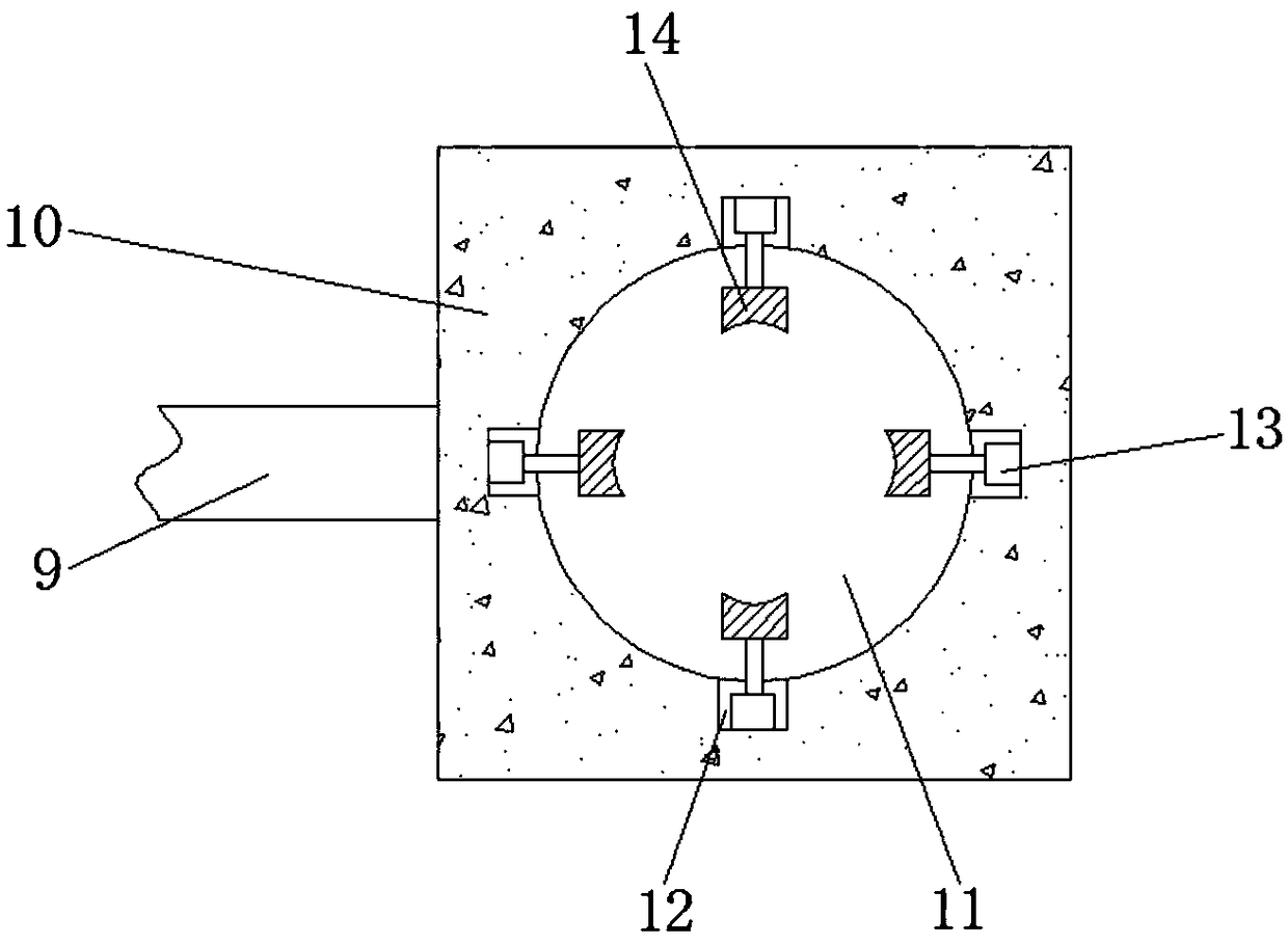 Feeding and discharging device for liquid injection machine