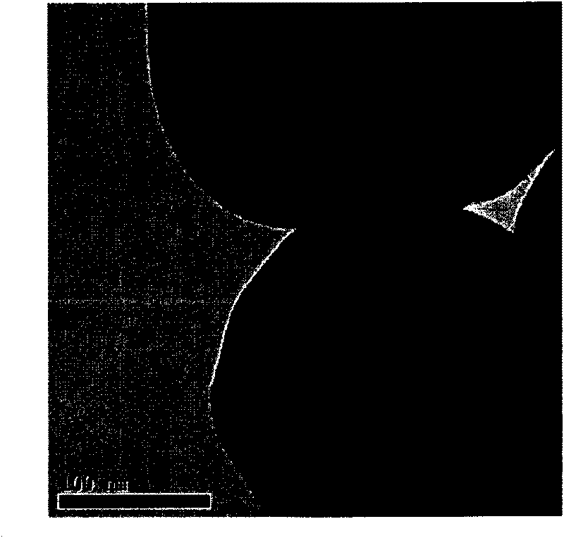 Method for coating hydrous zirconium oxide on surface of rutile type titanium dioxide