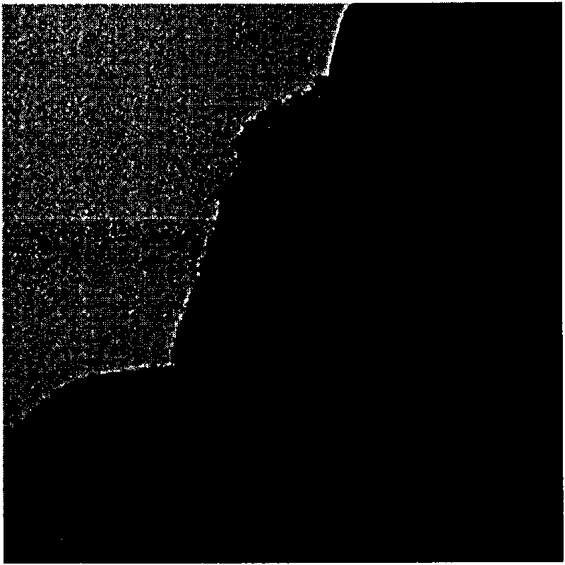 Method for coating hydrous zirconium oxide on surface of rutile type titanium dioxide