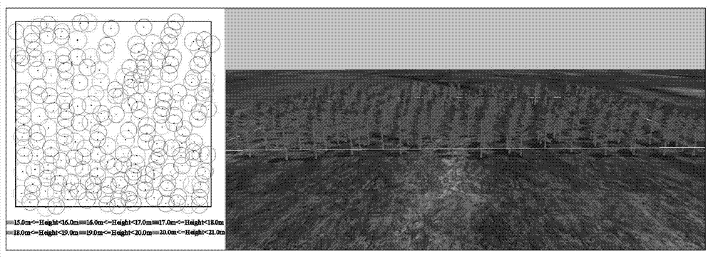 Growth and management interactive visualization simulation method for forest stand