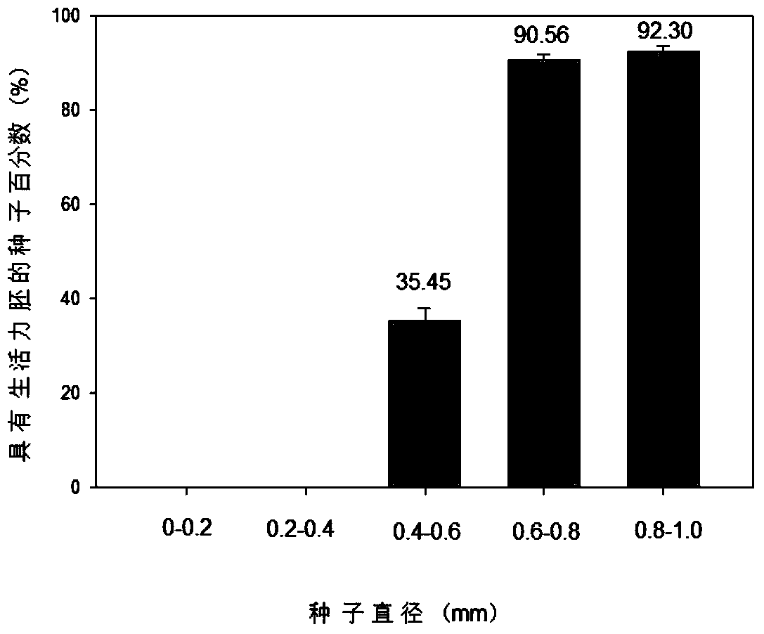 A method for detecting the viability of cistanche seeds