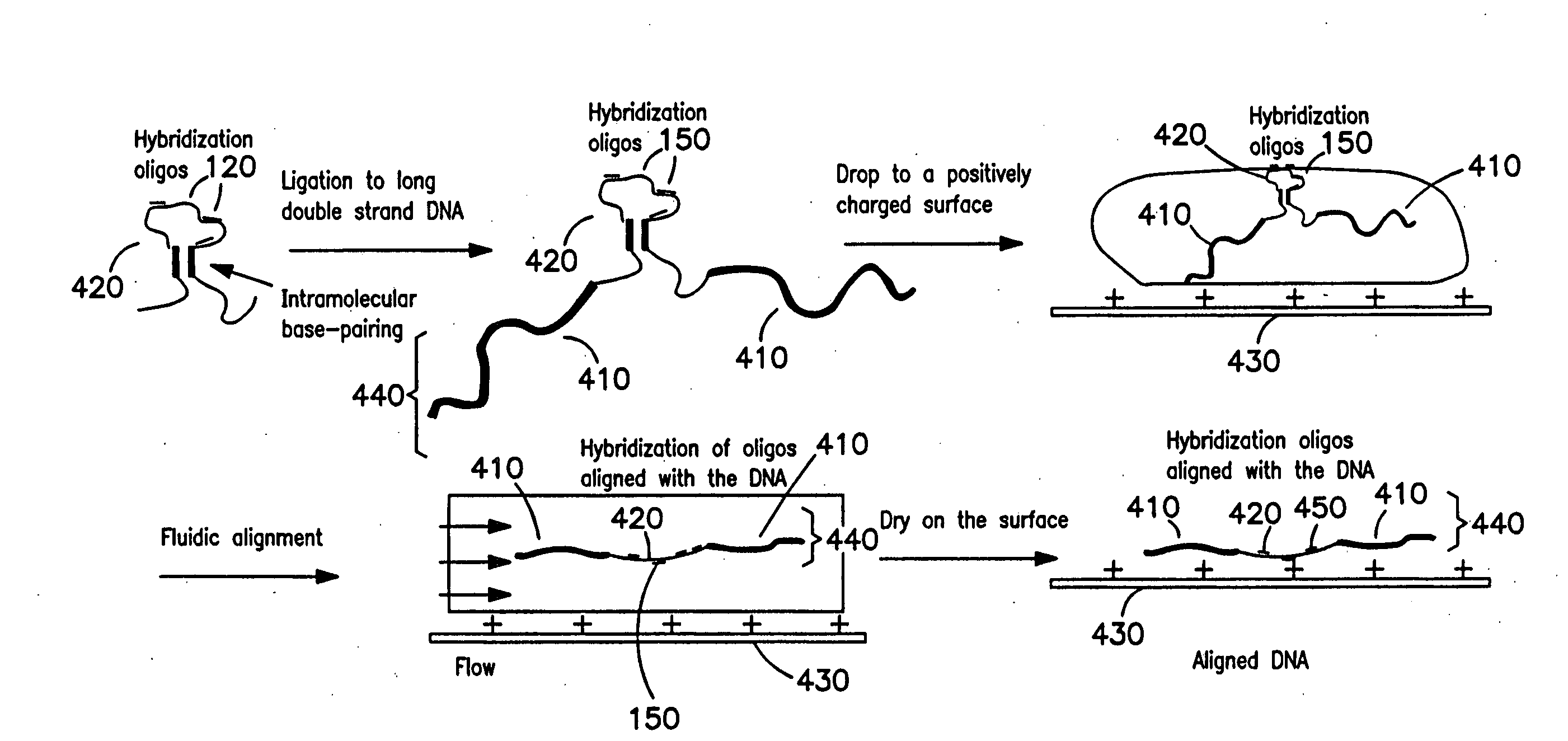 Methods of producing carbon nanotubes using peptide or nucleic acid micropatterning