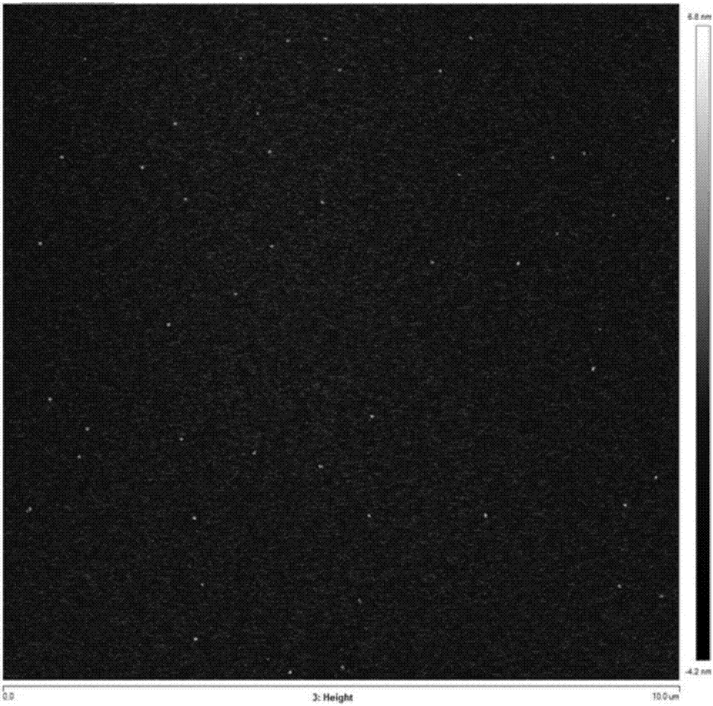 Metalmanganese doped carbon quantum dot having high fluorescence quantum yield and preparation method and application thereof