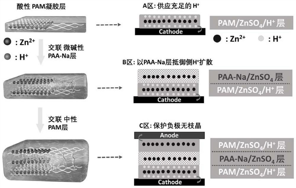 Gel electrolyte for aqueous zinc-manganese battery and preparation method of gel electrolyte