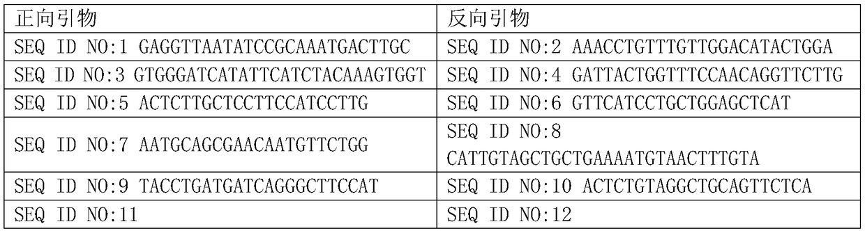 A method and device for indel detection of small fragments based on amplicon next-generation sequencing