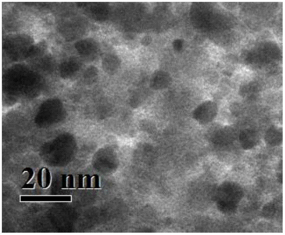 Biosynthesis method of magnetic Pd nanocomposite material