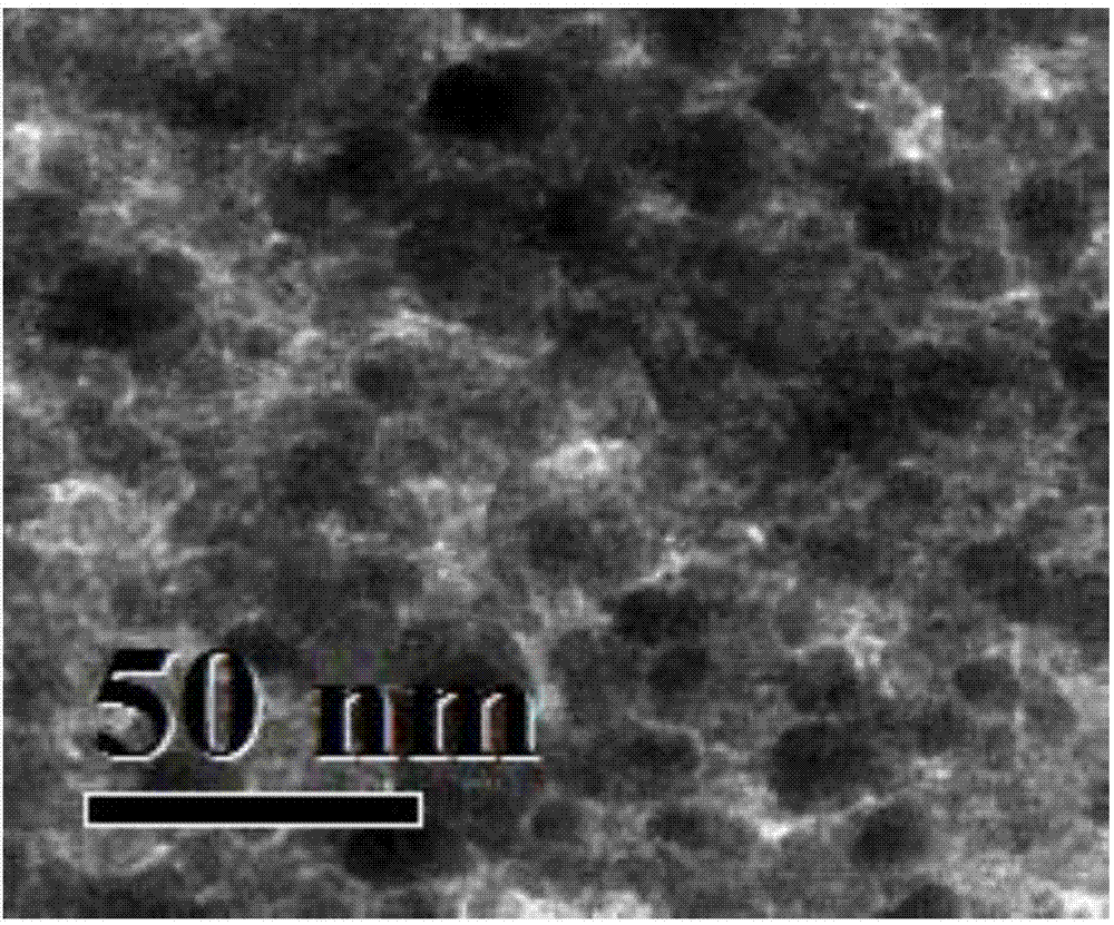 Biosynthesis method of magnetic Pd nanocomposite material