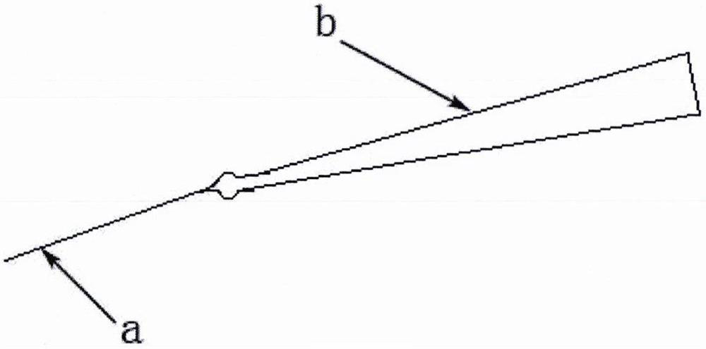 A kind of separation method of banana anthracnose bacteria