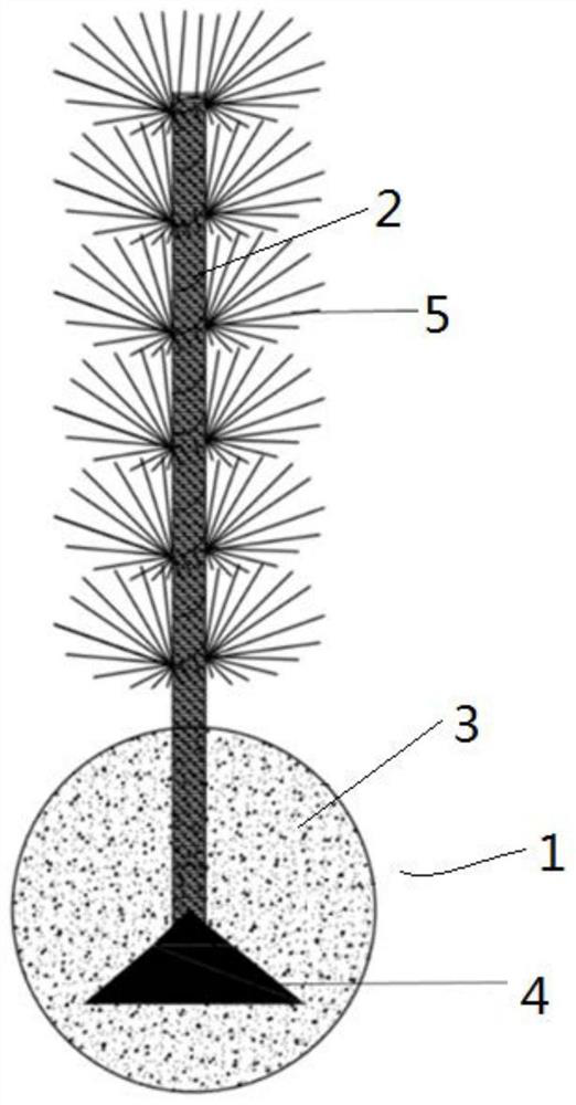 A kind of in-situ black and smelly river sediment restoration material and its potted plant and its application