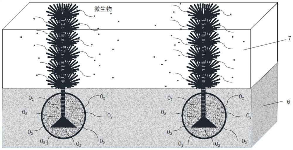 A kind of in-situ black and smelly river sediment restoration material and its potted plant and its application