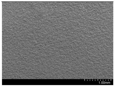 High-capacity-density lithium ion battery negative electrode