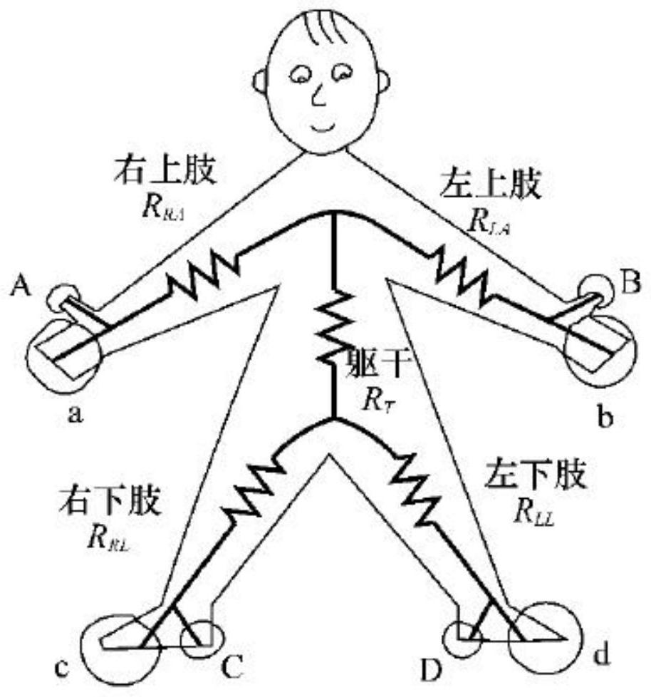 Human body composition and visceral fat content prediction method