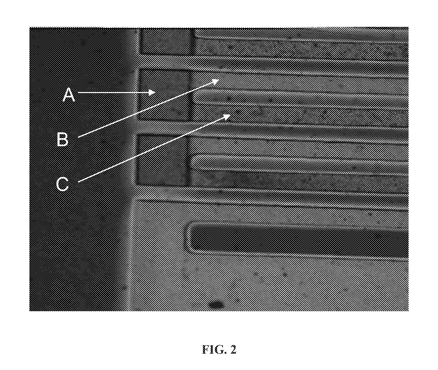 Thermoelectric method of sequencing nucleic acids