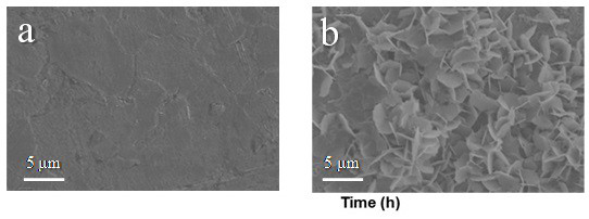 Aqueous zinc ion battery electrolyte additive