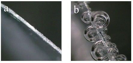 Aqueous zinc ion battery electrolyte additive