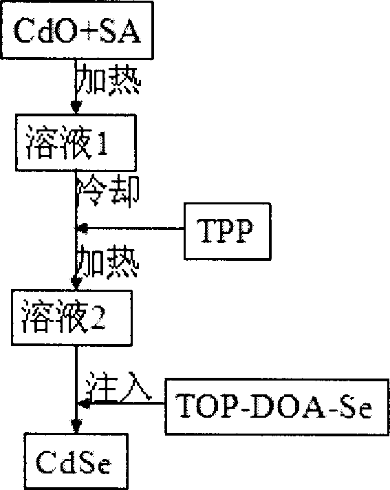 Method for preparing CdSe quantum