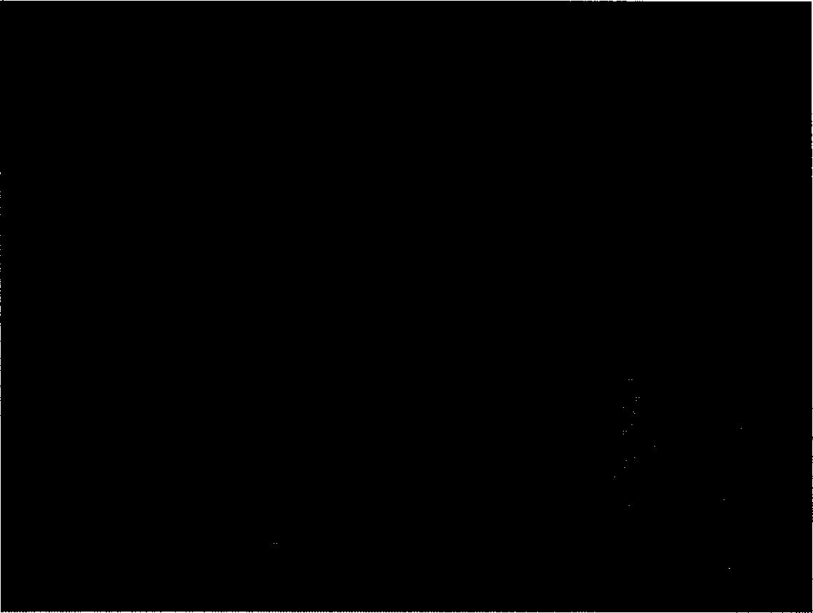 Method for preparing CdSe quantum