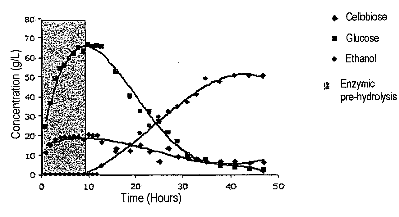 Process for the fermentative production of ethanol from solid lignocellulosic material comprising a step of treating a solid lignocellulosic material with alkaline solution in order to remove the lignin