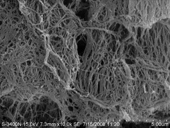 Biological repair tablet for herniae and preparation method thereof