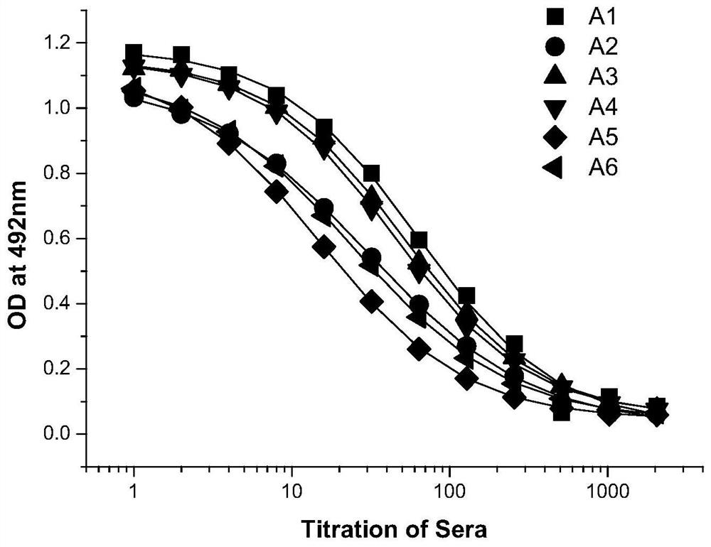 Antibody combined with TIGIT antigen and preparation method and application of antibody