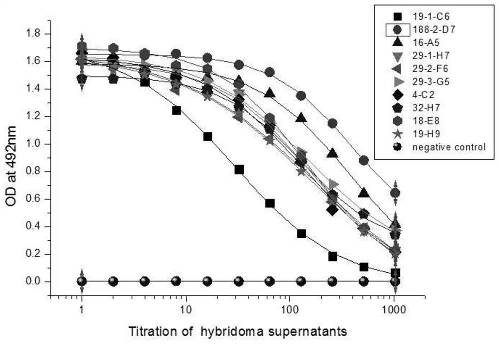 Antibody combined with TIGIT antigen and preparation method and application of antibody