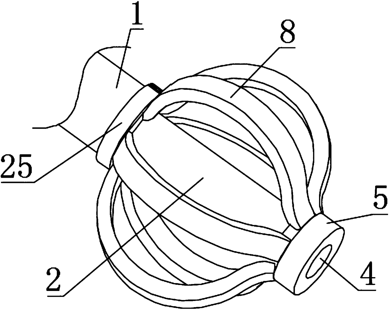 Catheter fixing device