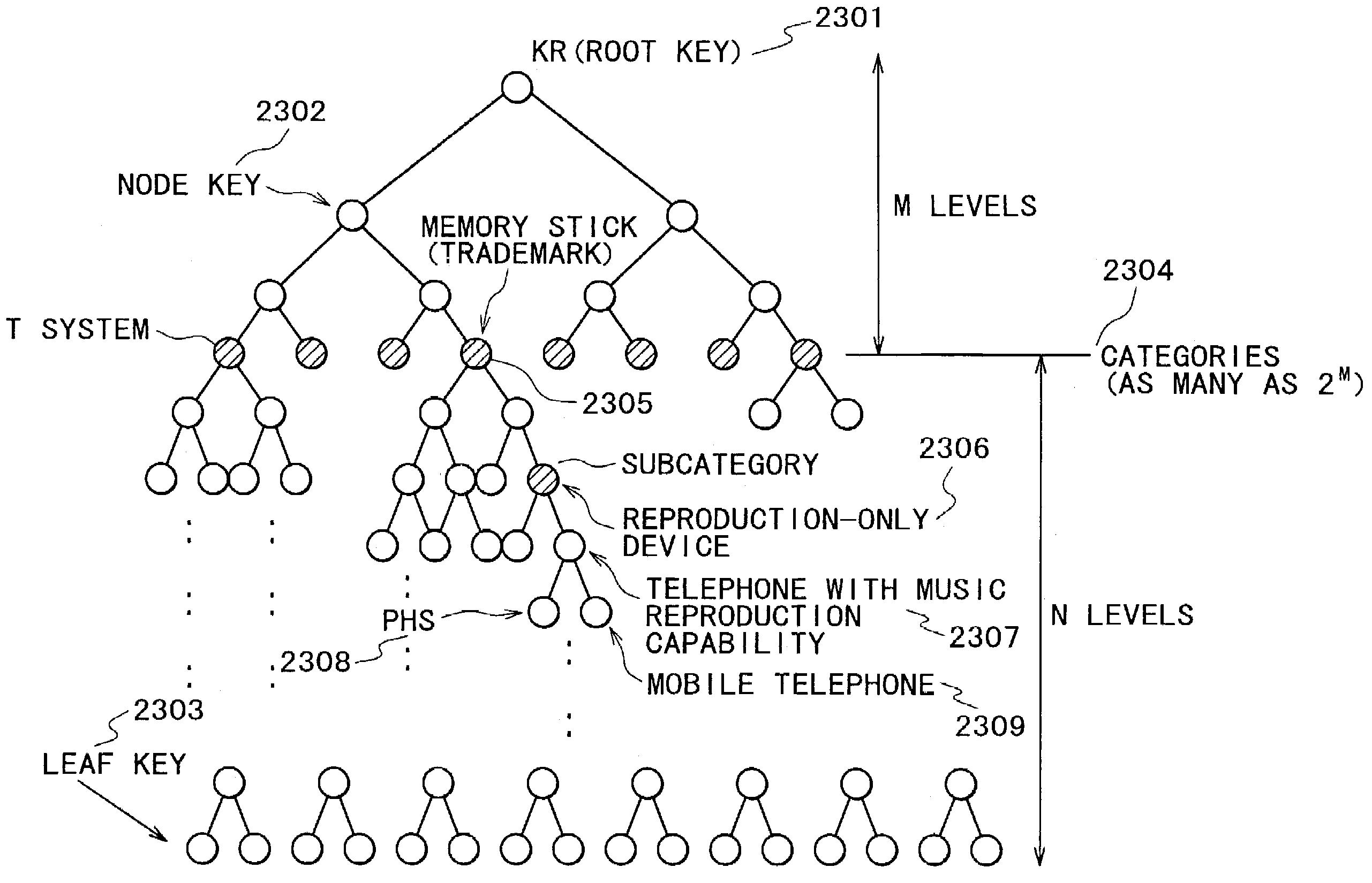 Information processing apparatus