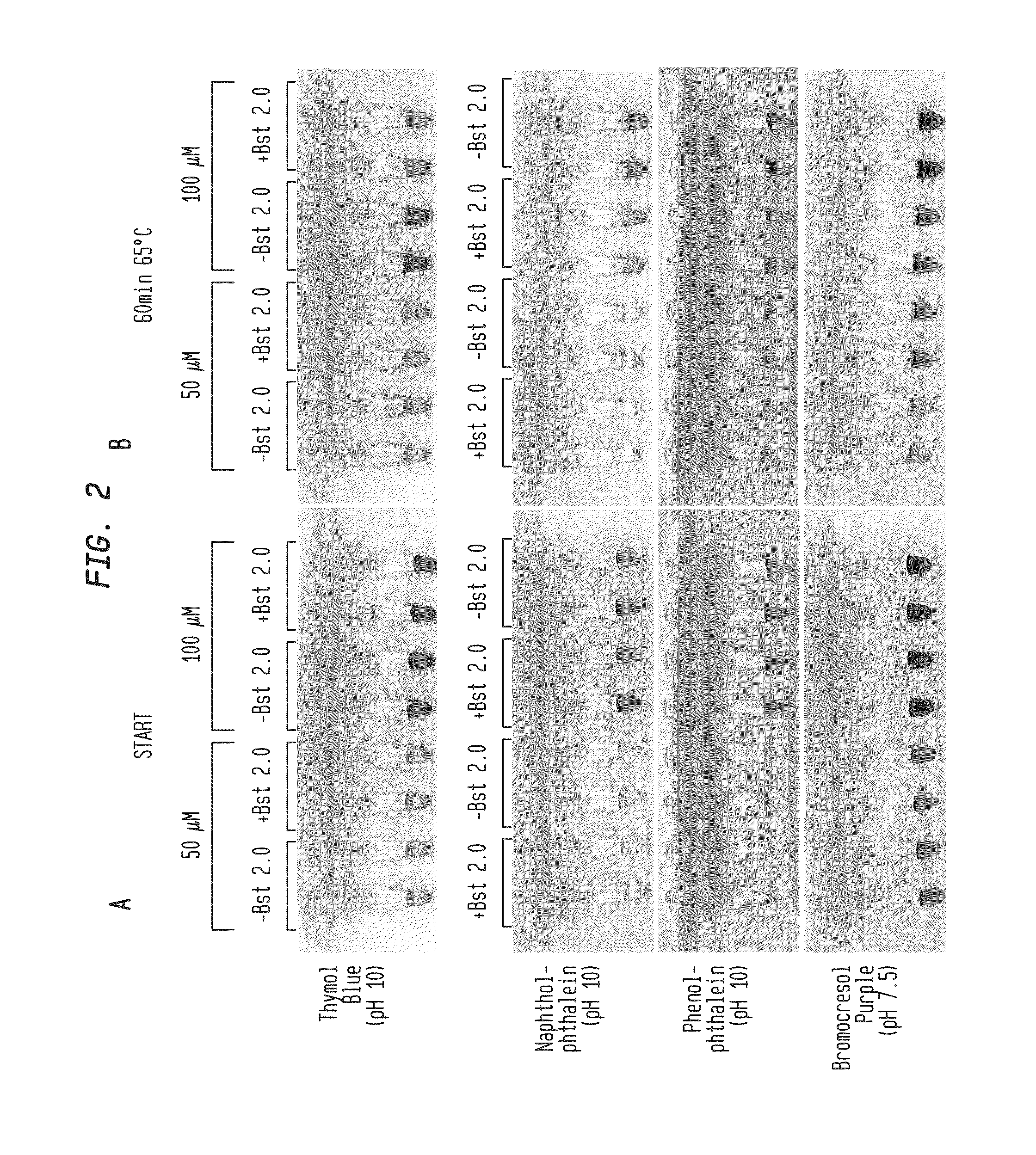 Detection of an Amplification Reaction Product Using pH-sensitive Dyes