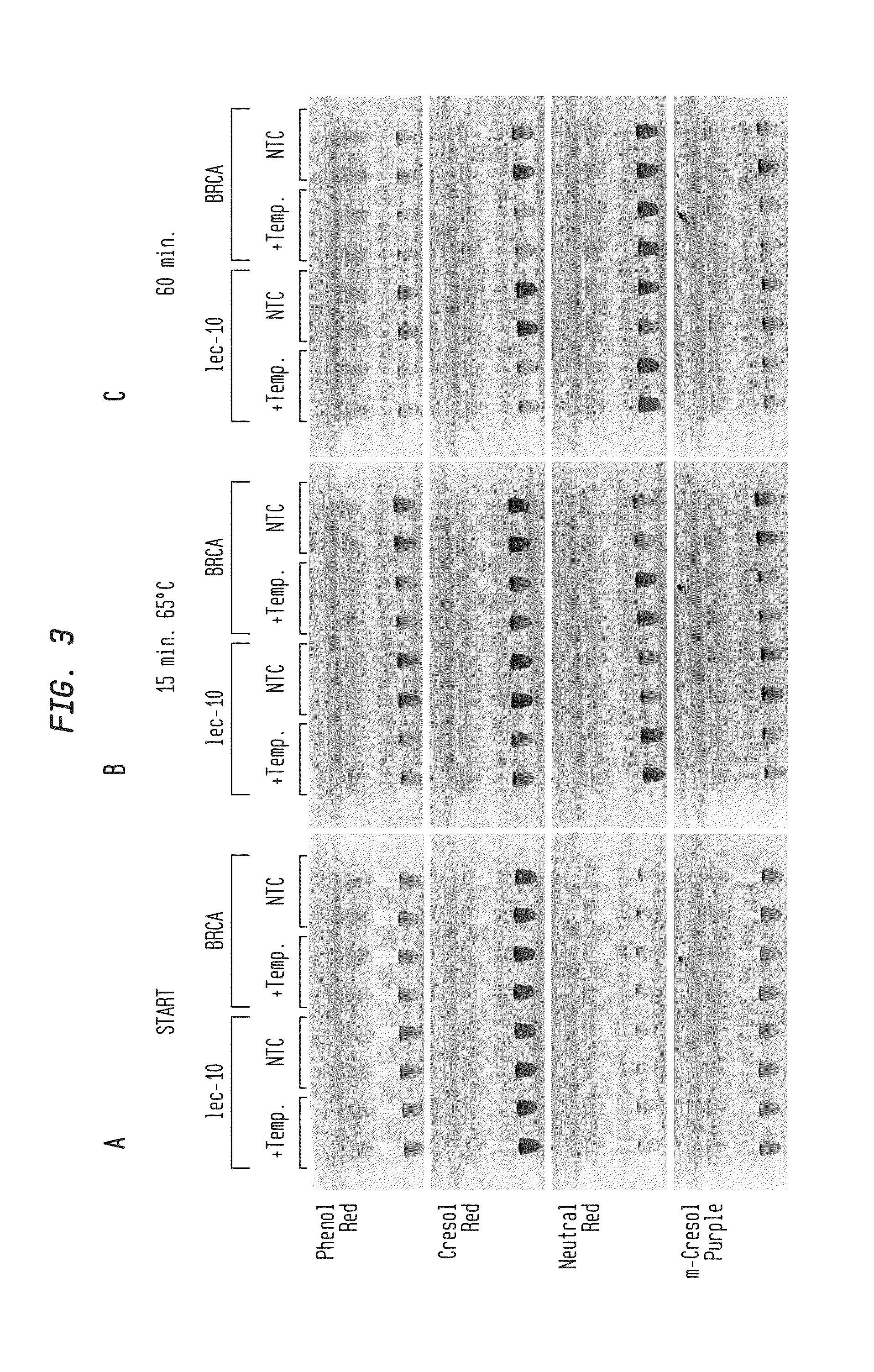 Detection of an Amplification Reaction Product Using pH-sensitive Dyes