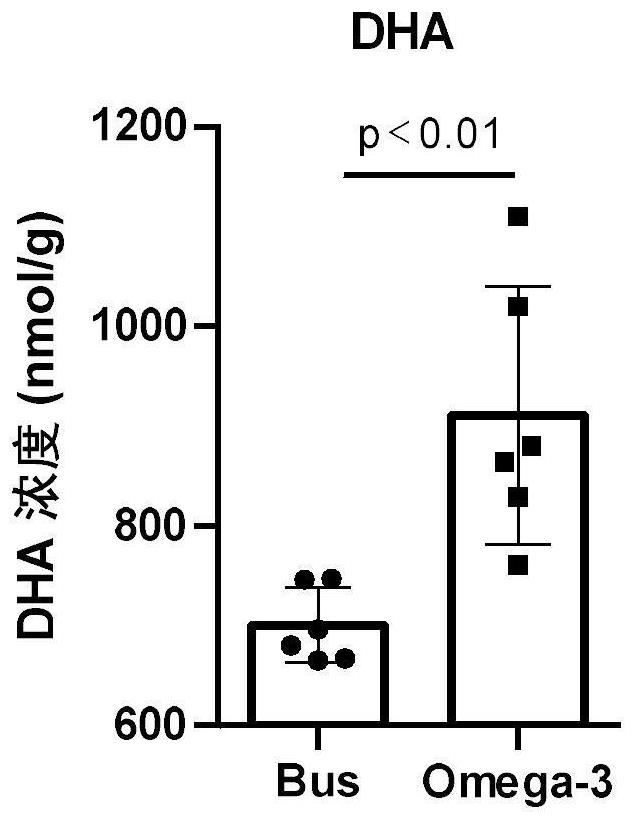 Application of Omega-3 or pharmaceutically acceptable fatty acid thereof to improvement of spermatogenesis disorder