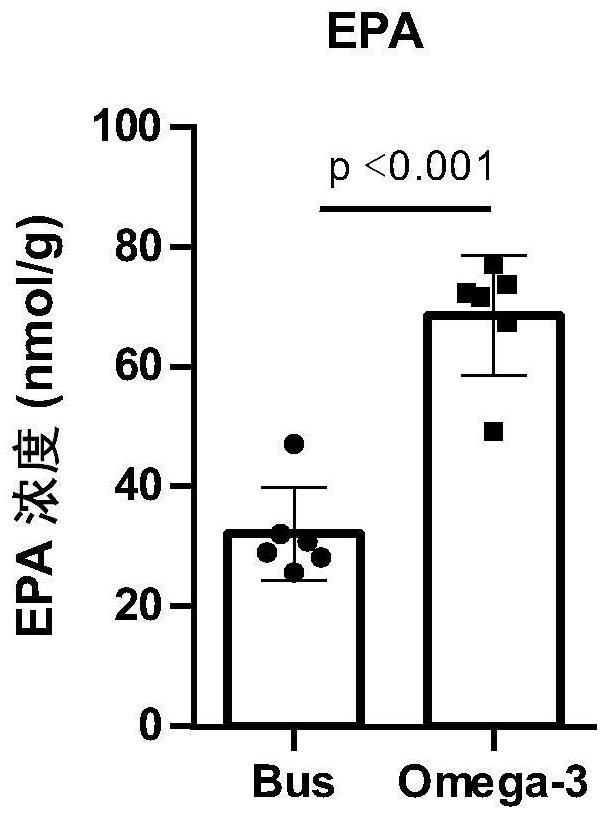 Application of Omega-3 or pharmaceutically acceptable fatty acid thereof to improvement of spermatogenesis disorder