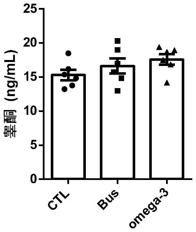 Application of Omega-3 or pharmaceutically acceptable fatty acid thereof to improvement of spermatogenesis disorder