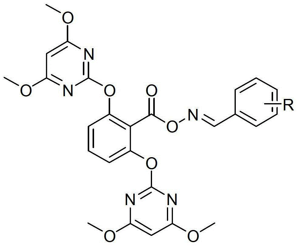 Fluorazame compound with herbicidal activity and preparation method thereof