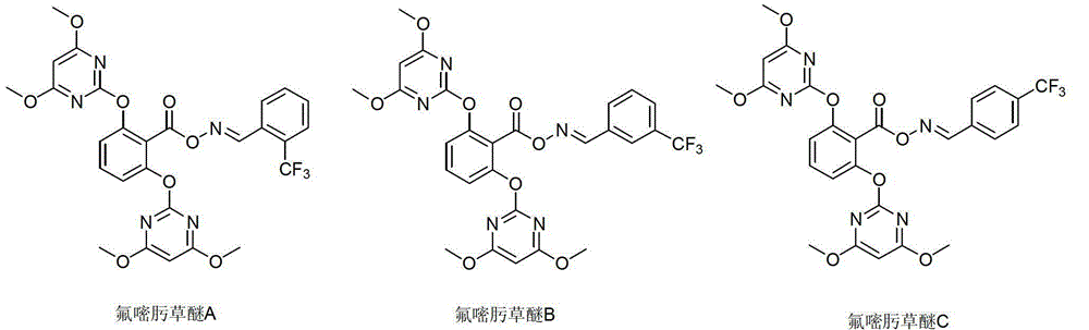 Fluorazame compound with herbicidal activity and preparation method thereof