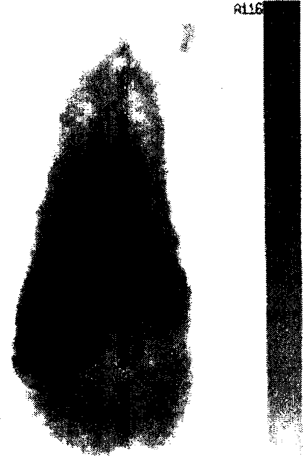 Technetium-99m marked isonitrile group mating material, preparing process and uses thereof