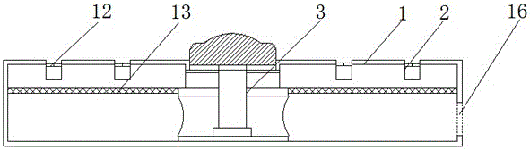 Power socket having coiling function