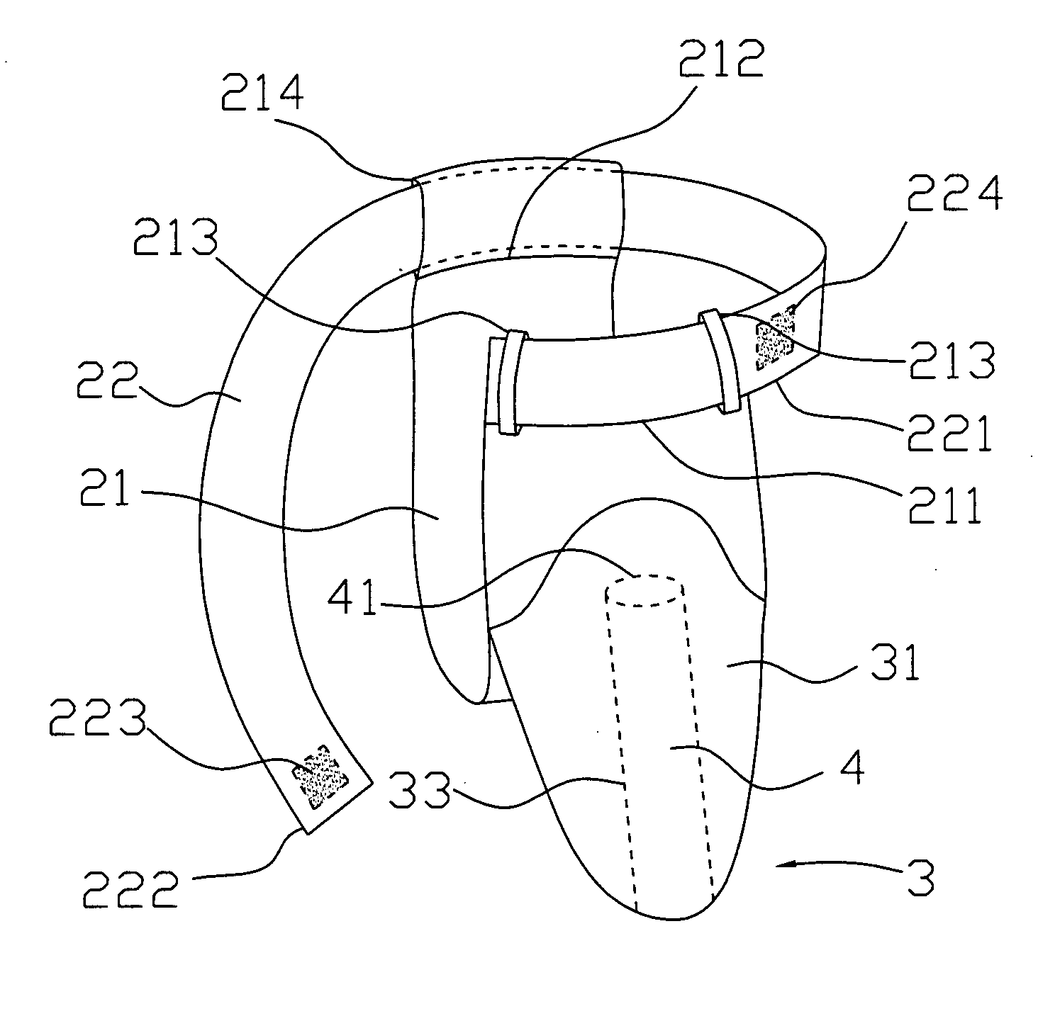 Positioning structure for the male reproductive organ