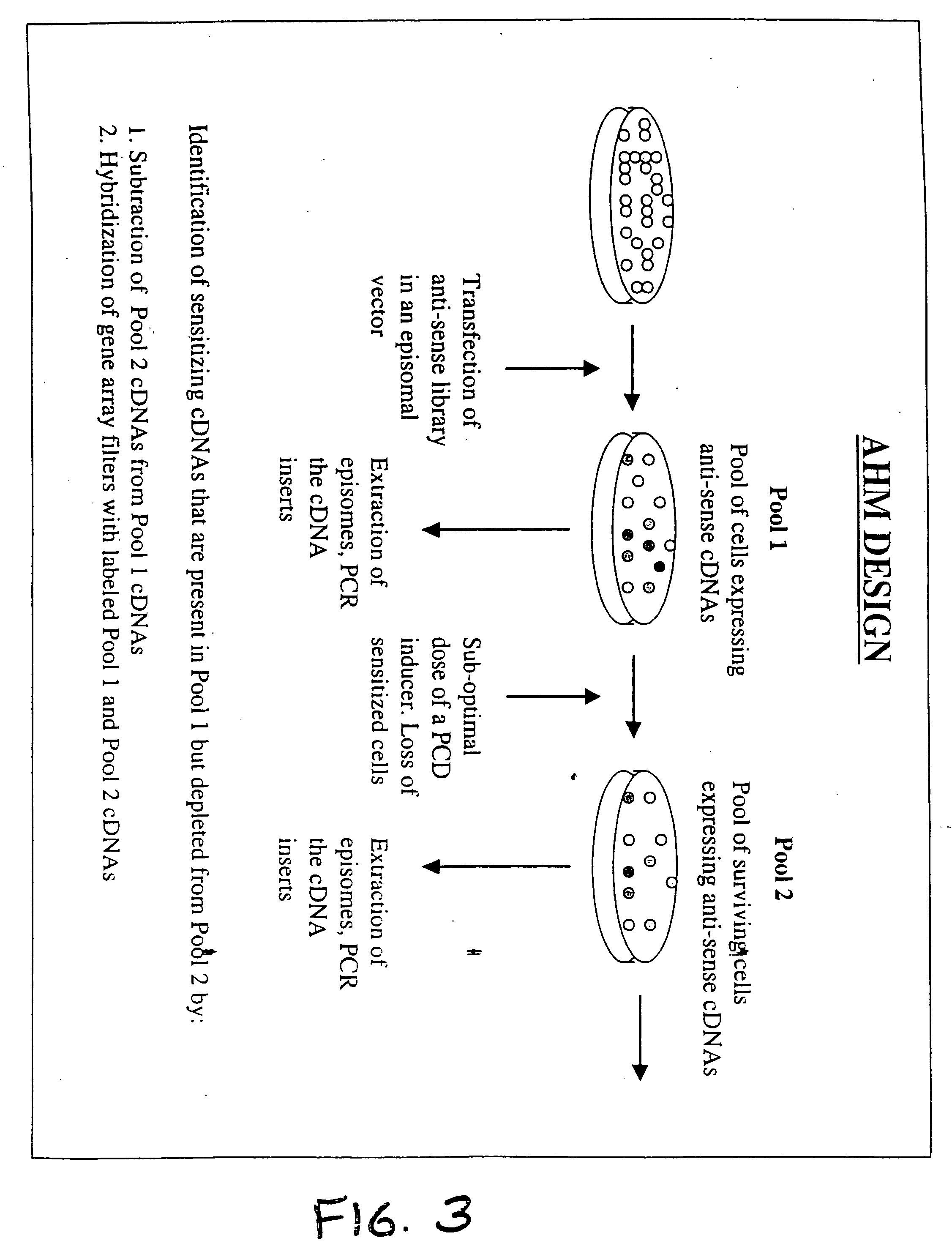 Therapeutic modulation of the fas pathway