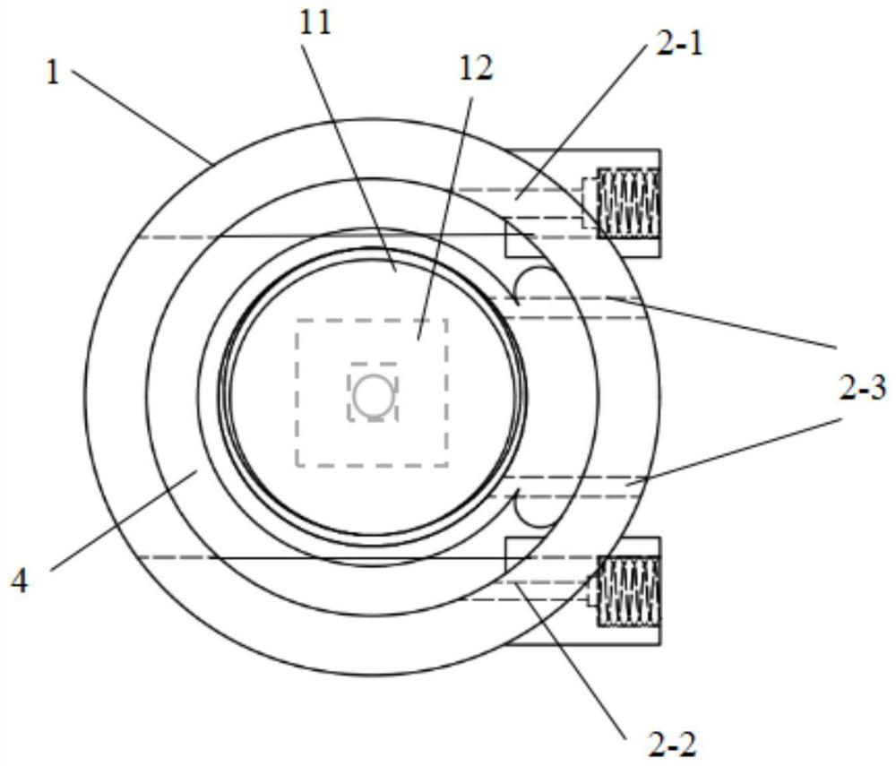 Chip-based micro-electrochemical cell in-situ multi-field analysis testing device, method and application