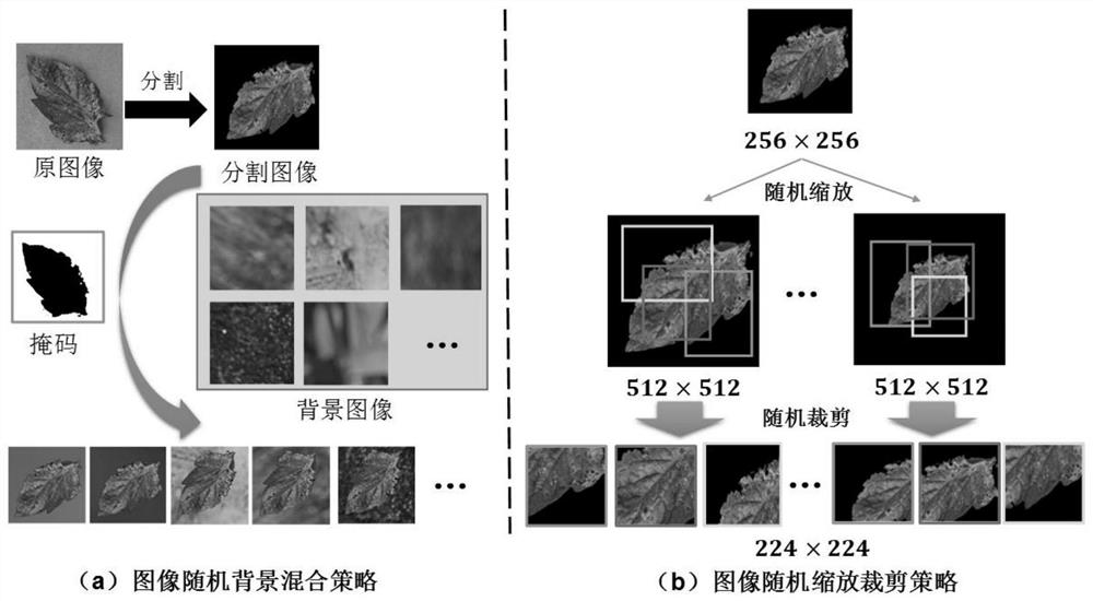 Automatic crop disease and pest identification method suitable for fields