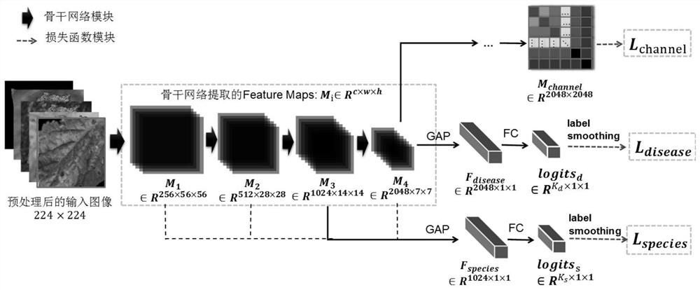 Automatic crop disease and pest identification method suitable for fields