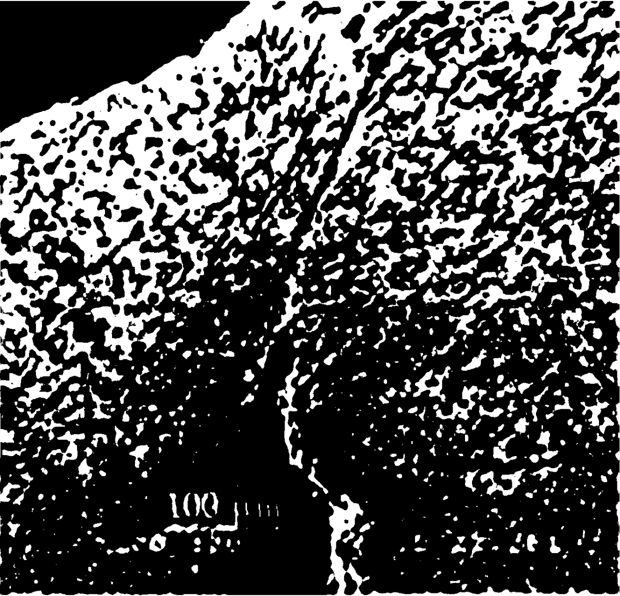 Fragile armor-piercing shell W alloy and preparation method thereof