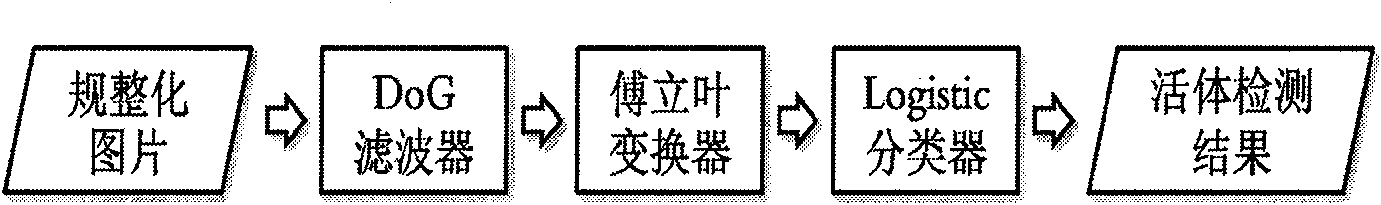 Living body detecting method and system applied to human face recognition