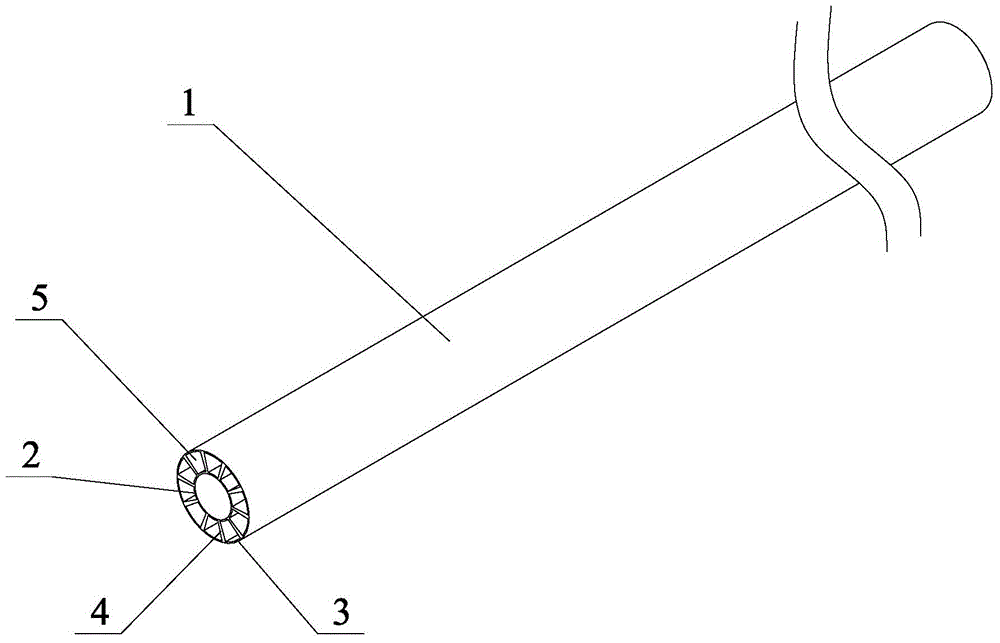 Double-layer straw