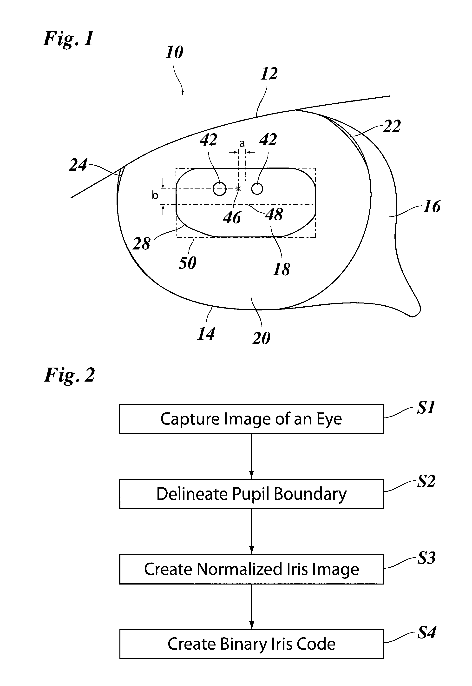 Method of generating a normalized digital image of an iris of an eye