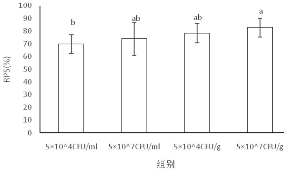 Pseudoalteromonas fish killing and application thereof in aquaculture