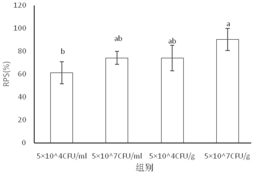 Pseudoalteromonas fish killing and application thereof in aquaculture