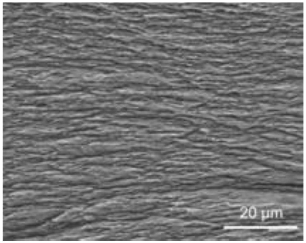 A method for preparing anisotropic thermally conductive bulk materials induced by Gibbs free energy