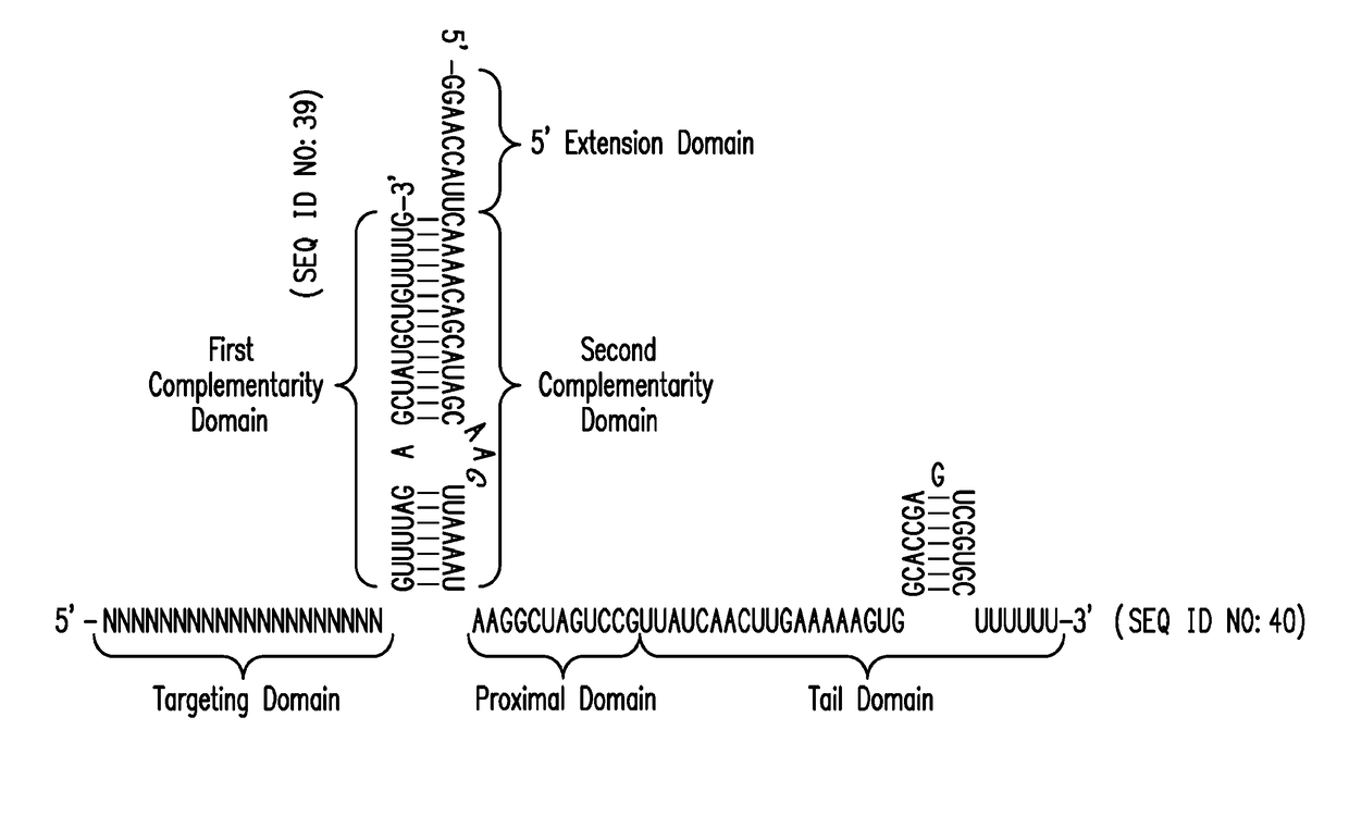 Crispr/cas-related methods and compositions for treating hepatitis b virus