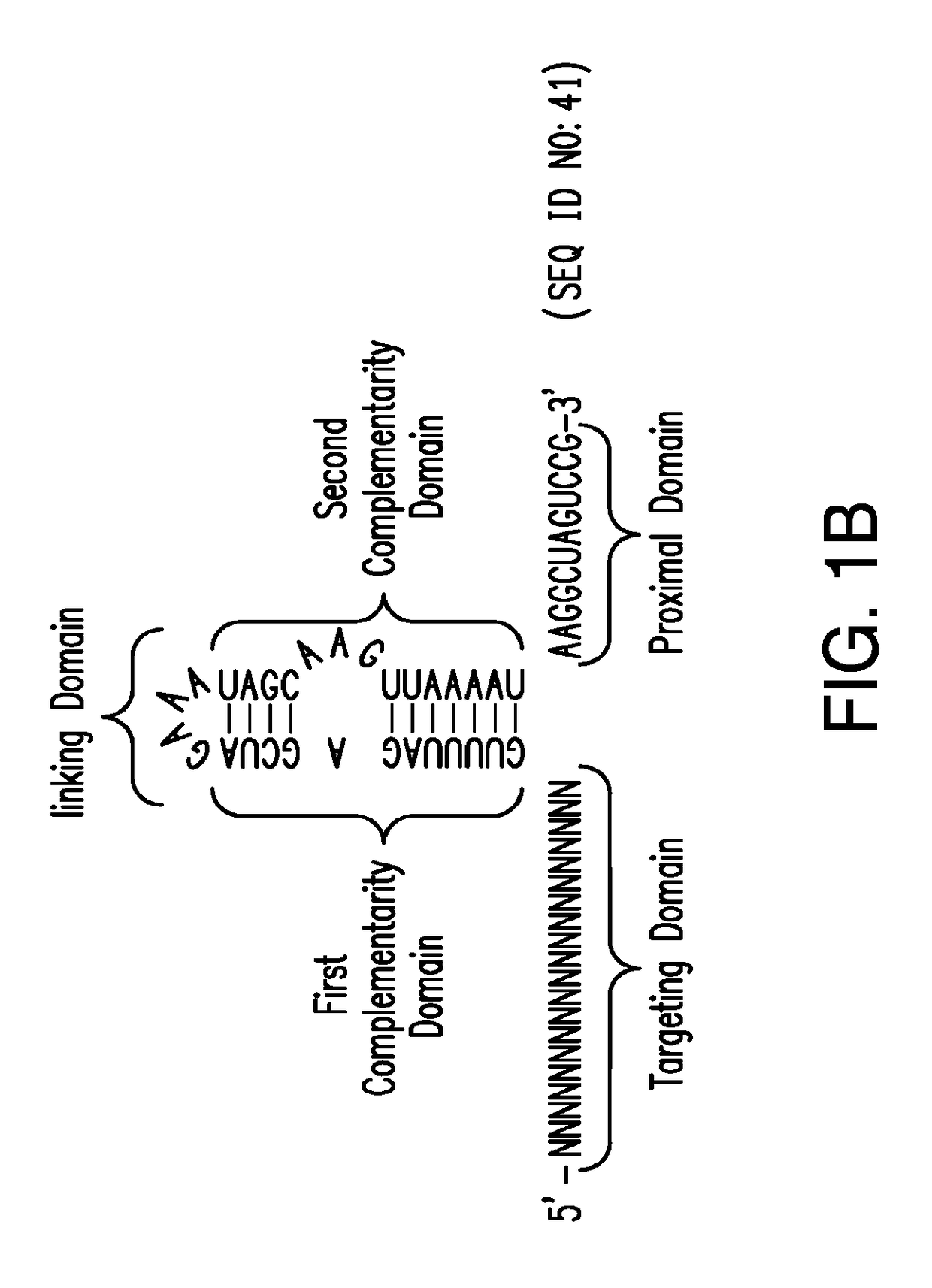 Crispr/cas-related methods and compositions for treating hepatitis b virus